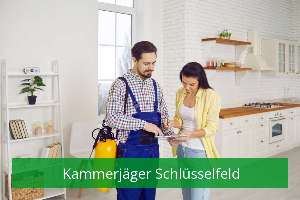 Kammerjäger Schlüsselfeld