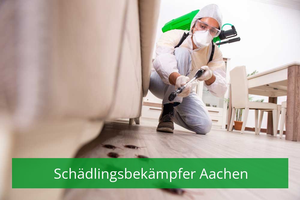 Schädlingsbekämpfer Aachen