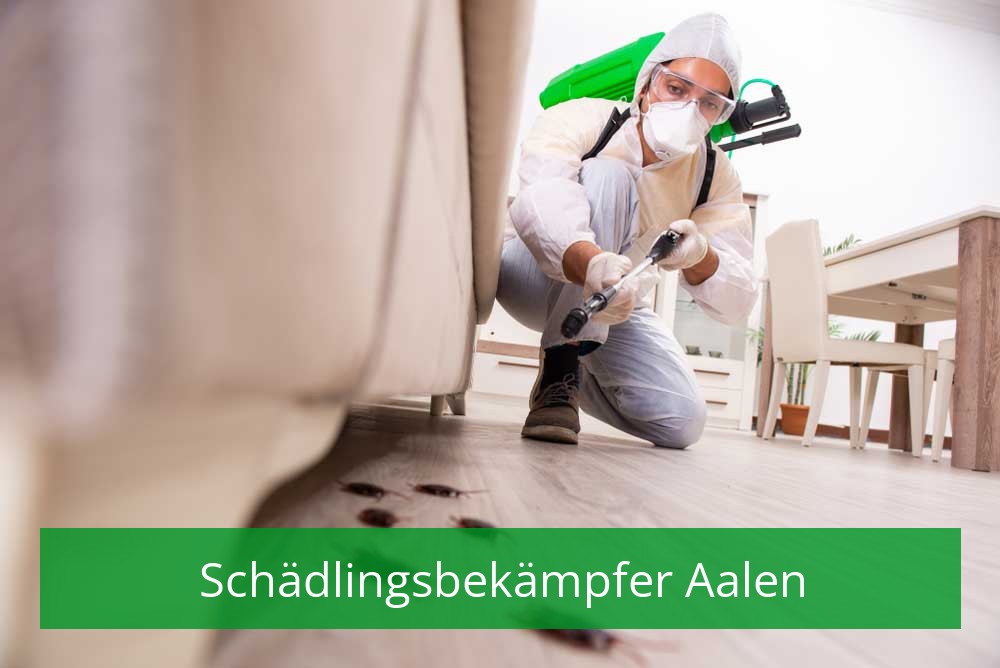 Schädlingsbekämpfer Aalen