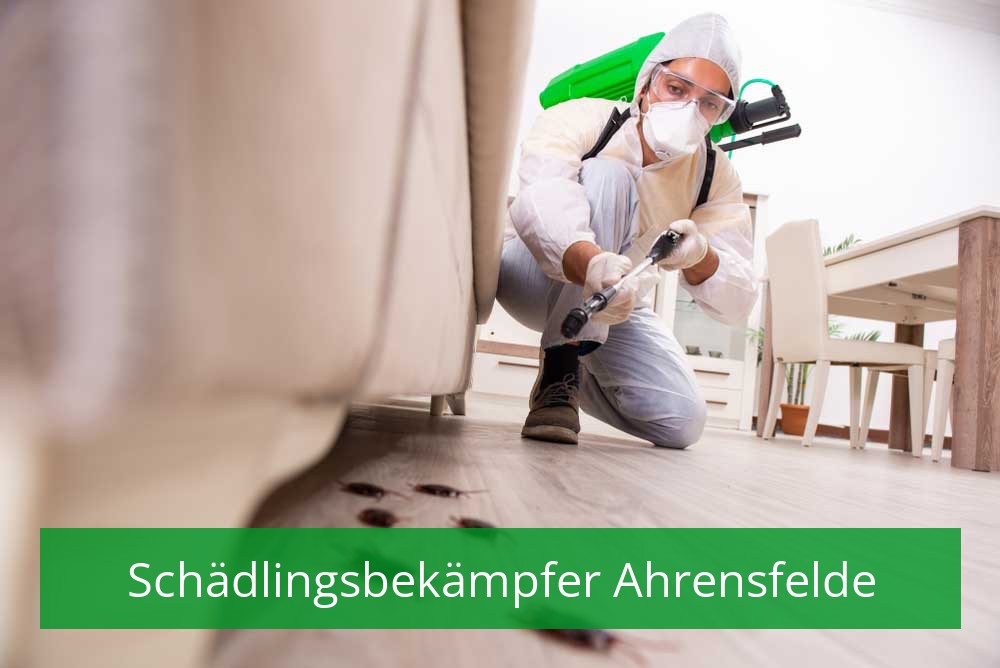 Schädlingsbekämpfer Ahrensfelde