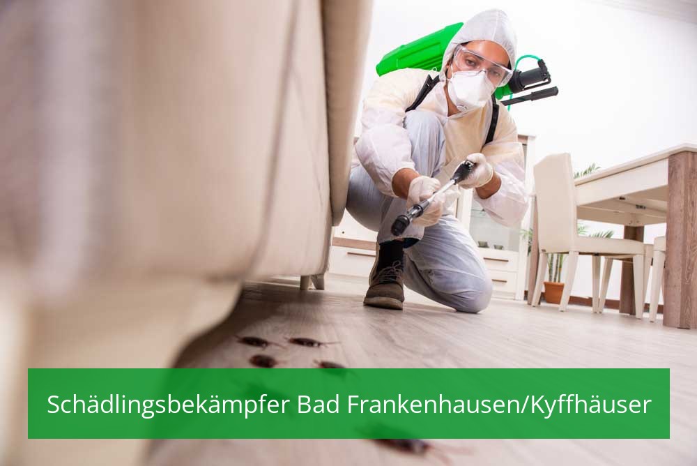 Schädlingsbekämpfer Bad Frankenhausen/Kyffhäuser