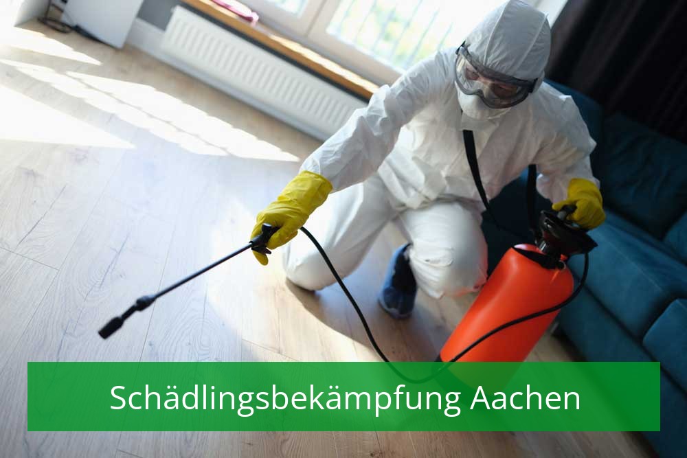 Schädlingsbekämpfung Aachen