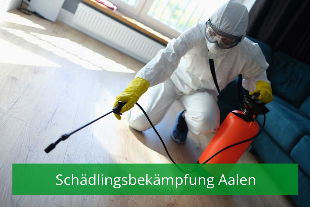 Schädlingsbekämpfung Aalen