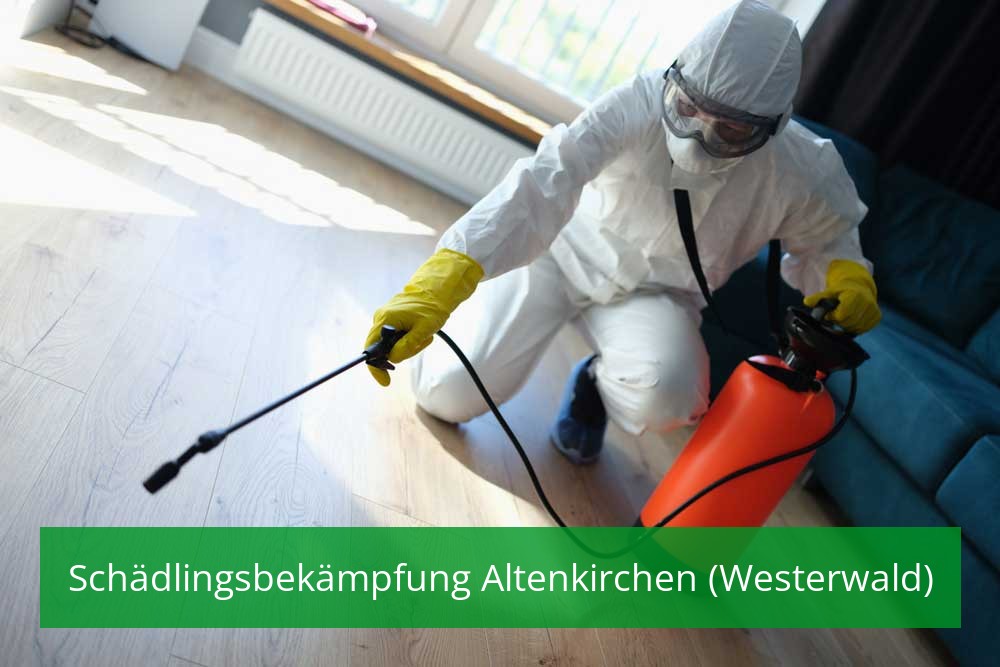 Schädlingsbekämpfung Altenkirchen (Westerwald)