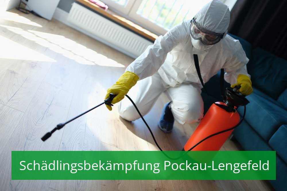 Schädlingsbekämpfung Pockau-Lengefeld